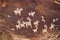 Ute Indian Petroglyphs