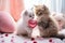 Ð¡ute kitten gives toy heart to loved friend