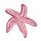 Ð¡ute watercolor purple Starfish isolated