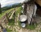 Utensils for sheep cheese in the Carpathians