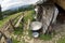 Utensils for sheep cheese in the Carpathians