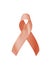 Uterine and Gynecologic Cancer Awareness ribbon (isolated with clipping path) with peach bow color on white background