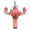 Uterus disease concept. Human uterus as hand grenade. 3D rendering