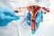 Uterus, doctor holding anatomy model for study diagnosis and treatment in hospital