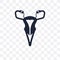 Uterus and Fallopian tube transparent icon. Uterus and Fallopian