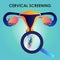 Uterus and flower for cervical screening