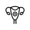 Uterus line icon vector