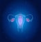 Uterus and ovaries background