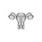 Uterus and ovaries icon, black monochrome style