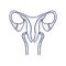 Uterus with ovary, cervix, fallopian tubes isolated on background. Female reproductive system.