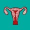 Uterus with ovary, cervix, fallopian tubes isolated on background. Female reproductive system. Healthy womb.