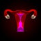 Uterus with ovary, cervix, fallopian tubes isolated on background. Female reproductive system. Healthy womb. Gynecology, anatomy c