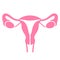 Uterus ovary icon