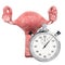 Uterus with stopwatch. First aid and diagnosis of uterus concept, 3D rendering