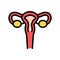 Uterus woman organ color icon vector illustration