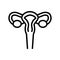 Uterus woman organ line icon vector illustration
