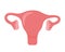Uterus. Woman reproductive health illustration. Gynecology. Anatomy. Vector illustration
