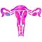 Uterus, womb major female reproductive sex organ and flowers. Fight like a girl. Feminism concept. Woman`s symbol. Design for