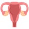 Uterus womb with ovary, cervix, fallopian tubes icon, vector illustration