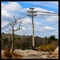 Utility pole on Castle Rock