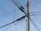 Utility pole confusing power cable phone line mess
