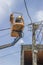 Utility pole worker replacing cables on an electric pole 2