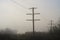 Utility Poles Standing in the Stillness of Early Morning Fog