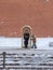 A utility worker cleans snow next to a soldier at a post near the Kremlin wall