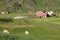 Uttakleiv\'s barn, sheep and hay bales