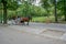 Ðutumn Central Park with Horse and Carriages