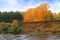 Ð°utumn forest on the bank of the river and its reflection in th