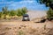 UTV vehicle offroad kicking up sand on dune. Extreme, adrenalin. 4x4