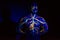 UV picture of the circulatory system body art on the body of an adult male. On the chest of a muscular athlete, veins and arteries