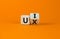 UX design or UI design. Turned cube and changed the words `UX` to `UI`. Beautiful orange background. Business concept. Copy sp