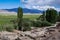 Uyghur village and view over pastures around it.