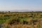 Uzbekistan Steppe on a sunny day