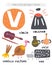 V letter objects and animals including volcano, vase, van, vanilla, violin, vulture. Learn english alphabet, letters