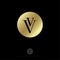 V and V letters. Double V monogram in a circle. Gold premium monogram.