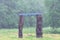 Vacant children swing on green forest glade at summer under heavy rain shower. Raindrops viewed as water threads due to long