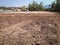 vacant land management land reclamation for land plot for building house, location for housing subdivision residential development