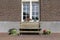 Vacant tree bench and bright blooming sunflowers on the background of the house