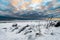 A vacation cloudscape of dramatic evening sky and snow covered half frozen lake with tourists in northern Europe with pine trees