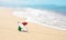 Vacation on the coast of Italy. Airplane in the colors of the flag of Italy on the seashore