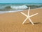 Vacation concept - Star fish on tropical sandy beach