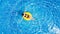 Vacation concept. Top view of slim young woman in bikini on the yellow air inflatable ring in the big swimming pool.