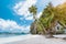 Vacation holiday on Palawan - El Nido island hopping tour. Lonely deserted hut under palm trees, cliff rocks in background