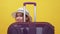 vacation joy curious woman travelling baggage
