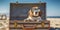 Vacation Ready Beagle with Sunglasses in Opened Beach Suitcase - travel and holiday concept. Generative AI