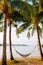 Vacation Relaxation hammock hanging from coconut trees on beach