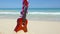 Vacation travel concept with ukulele and lei on tropical beach Oahu Hawaii